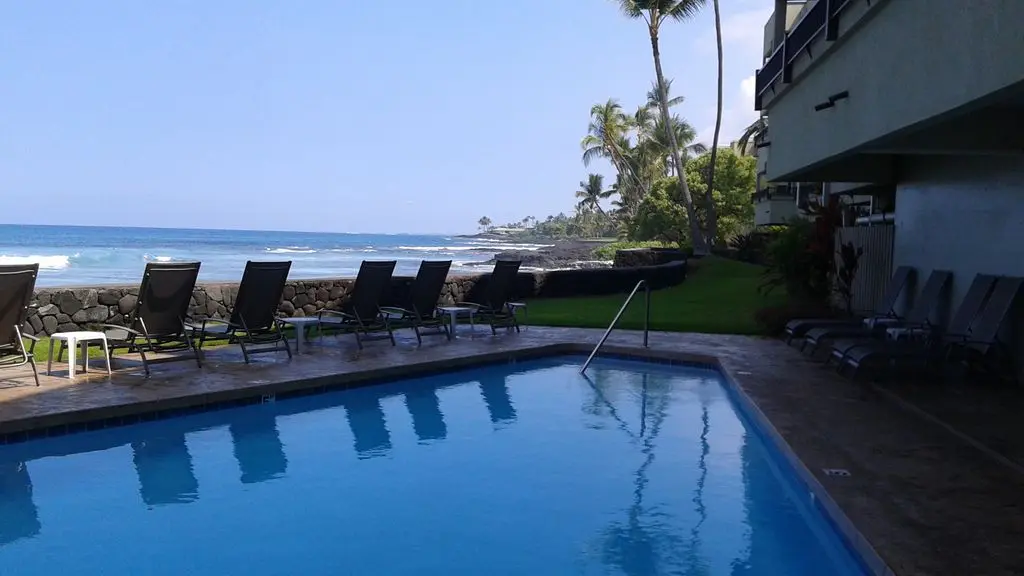 Banyan Tree 403C
