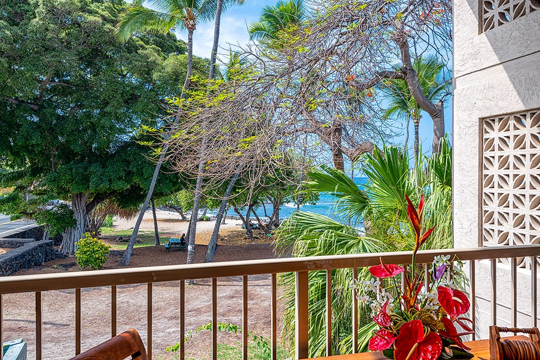 Great Deal! Kona Reef B-21