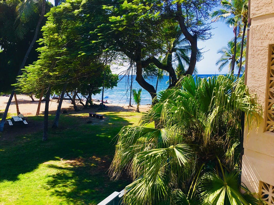 Great Deal! Kona Reef B-21