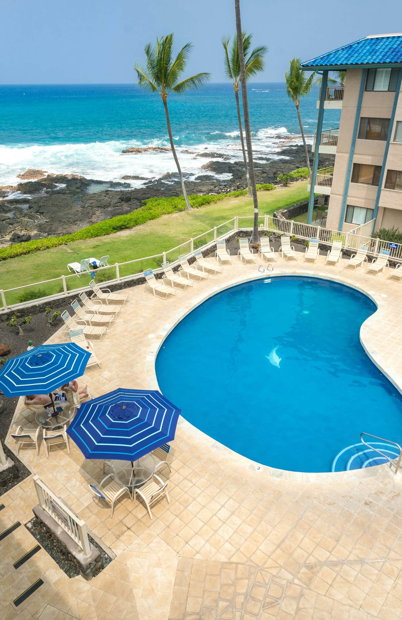 Great Deal! Kona Reef B-21