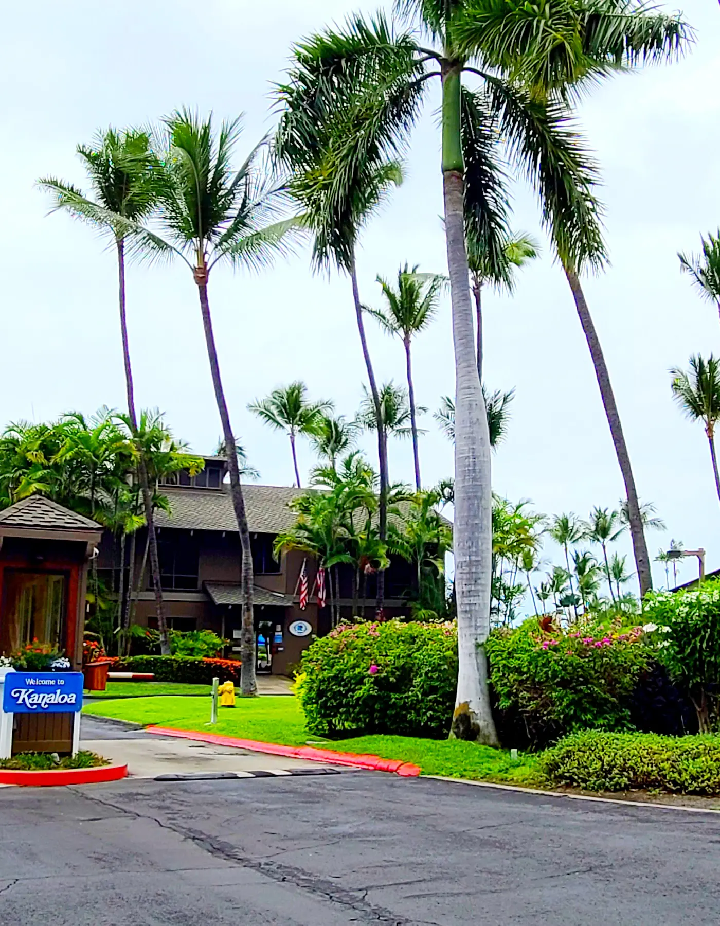 Kanaloa #3503