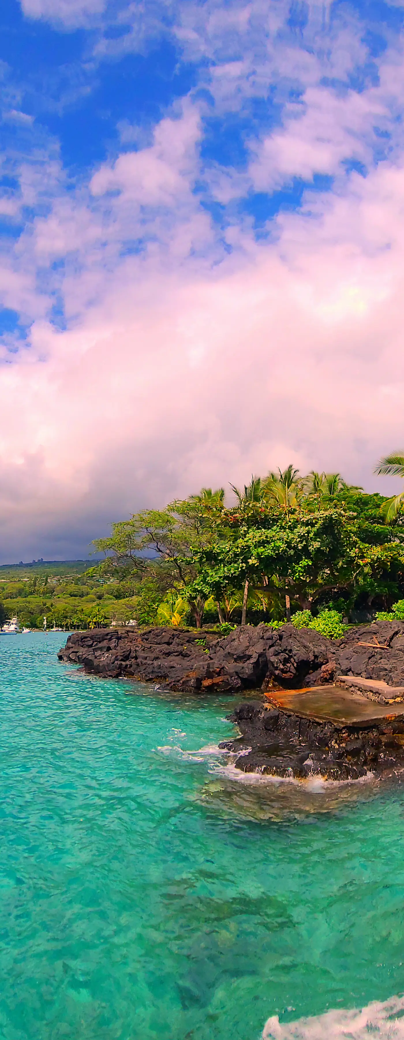 Kanaloa #3503