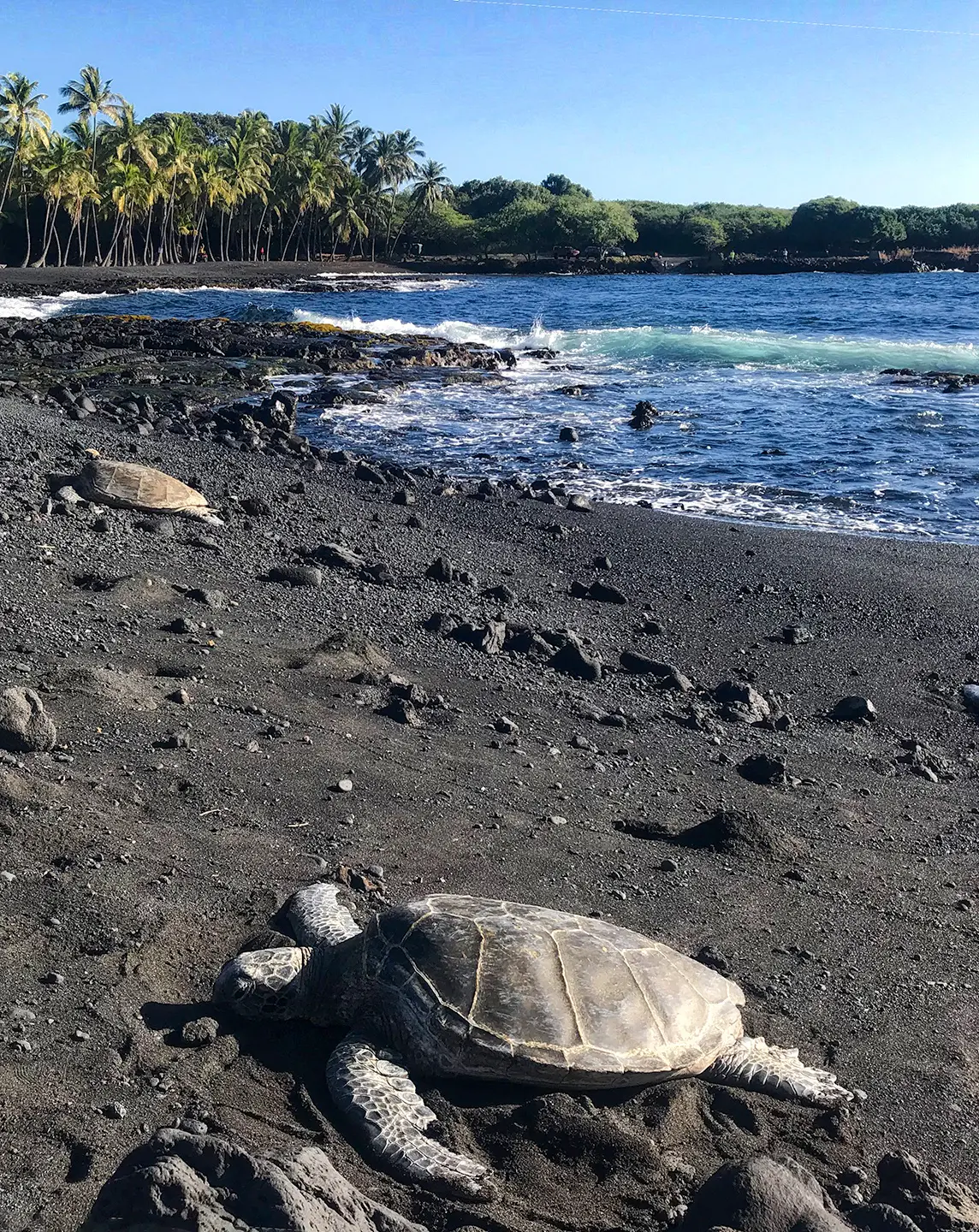 Kona By The Sea #422 - Paradise Found