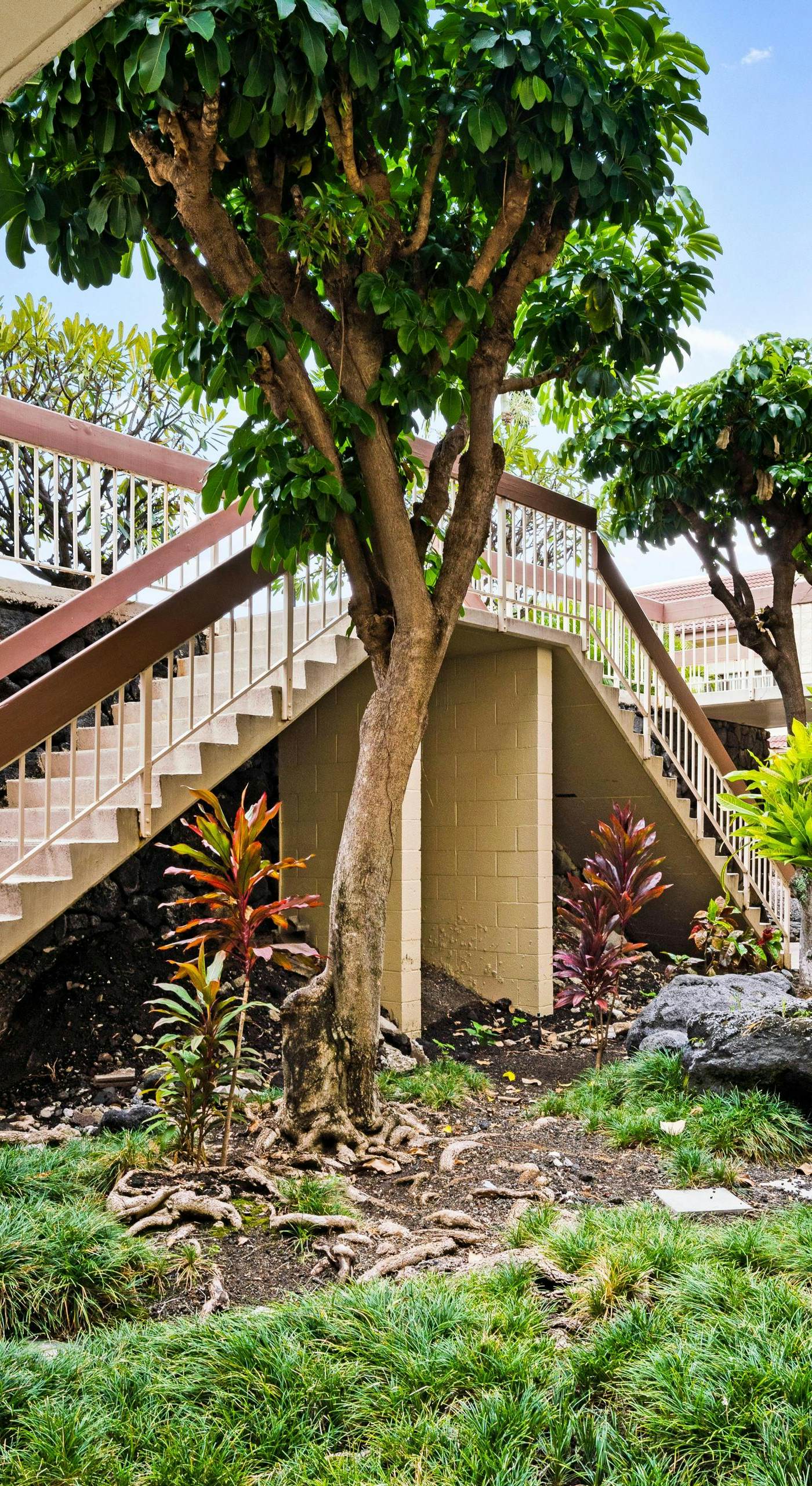 Keauhou Punahele B-102