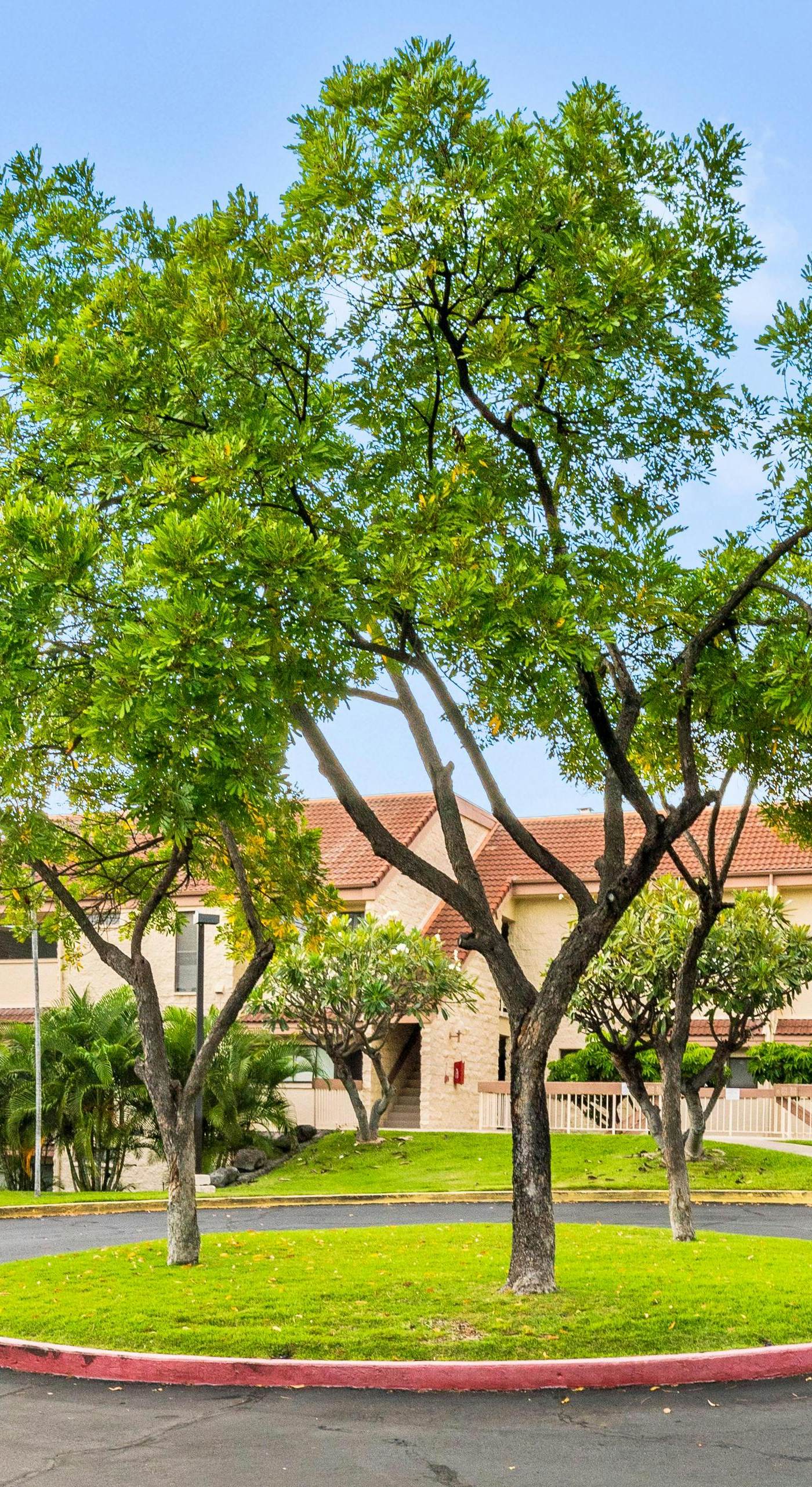 Keauhou Punahele B-102