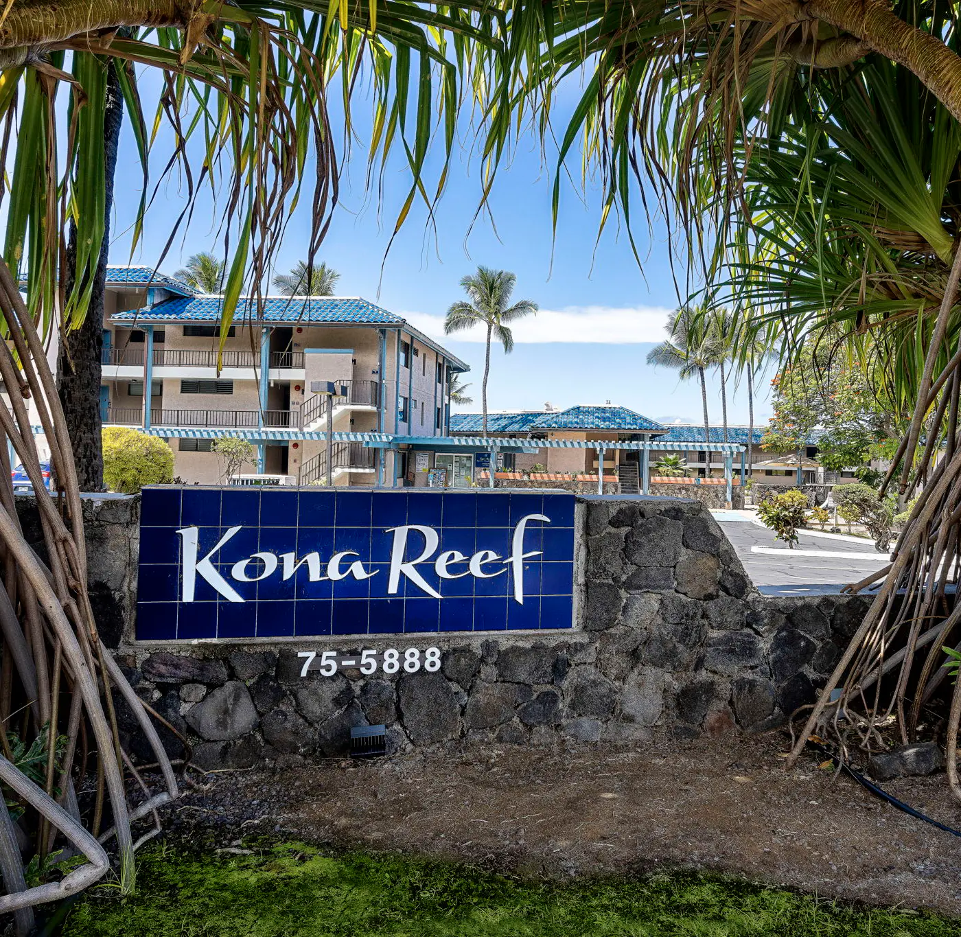 Kona Reef F15