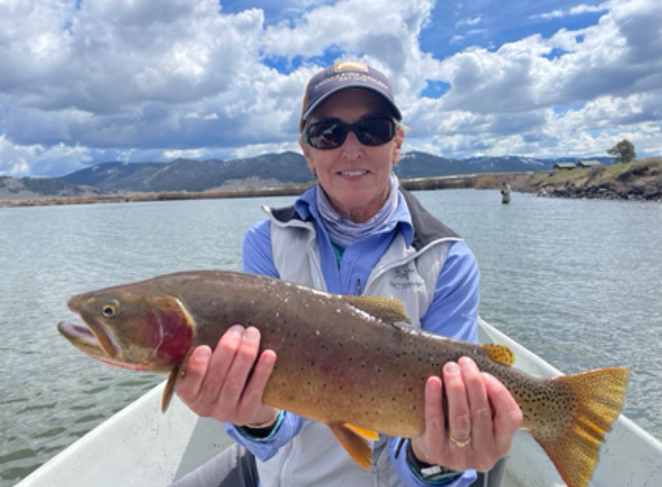 Pheasant  Tail  Villa