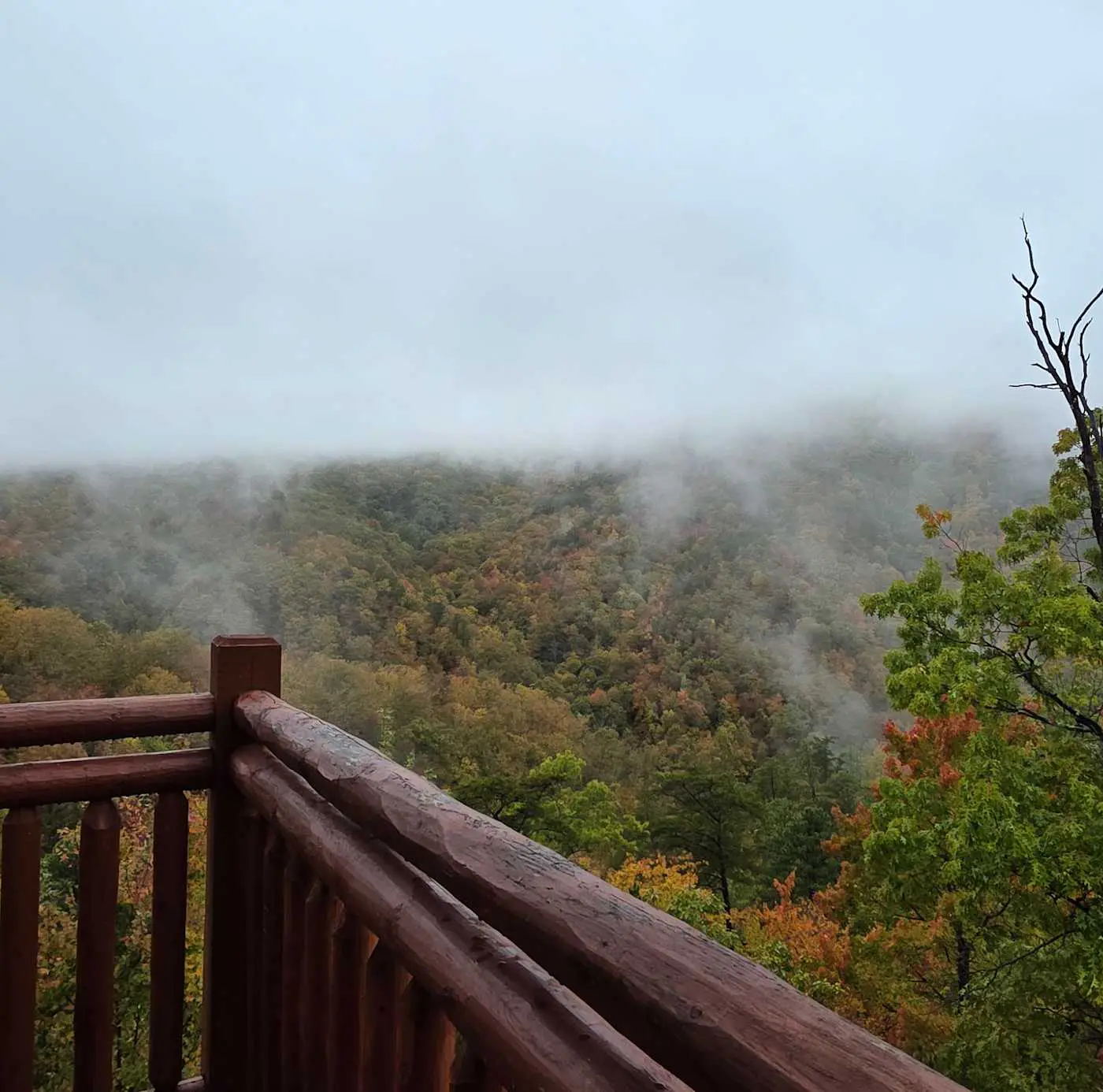 Luxe Sister Cabins, Sleeps 24, Pool, Hot Tub, Games