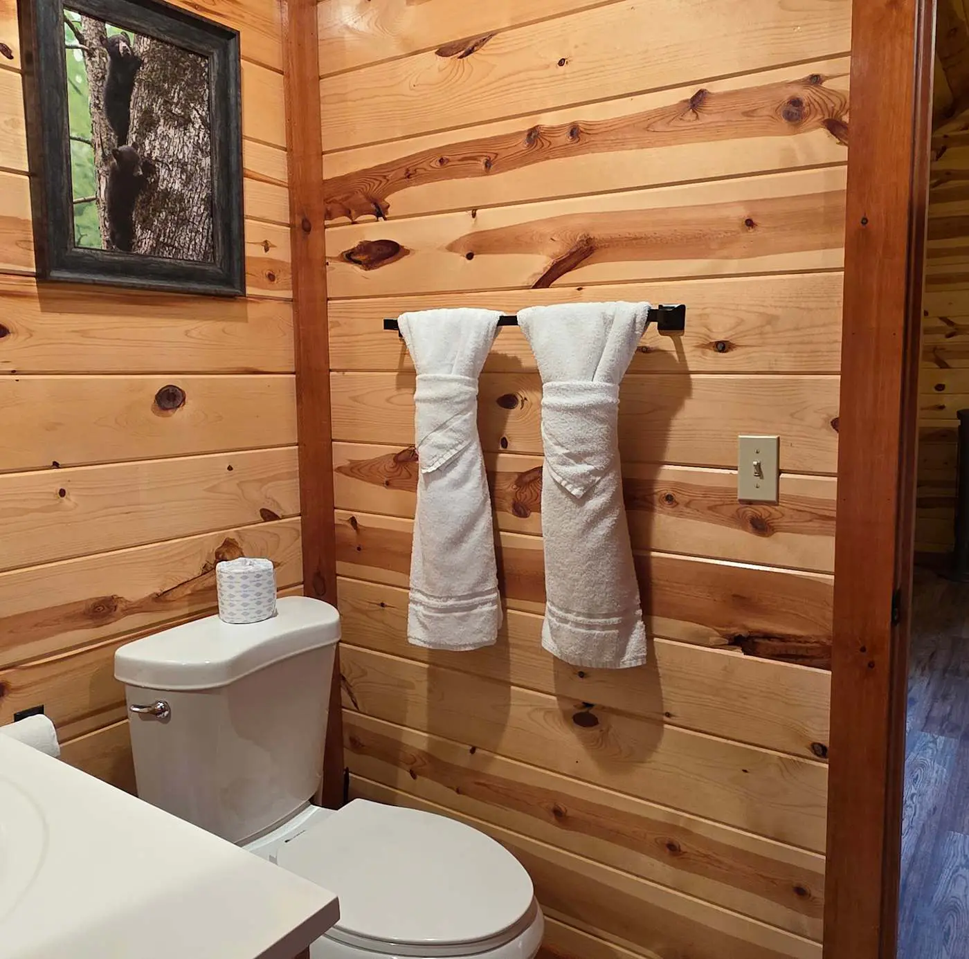 Luxe Sister Cabins, Sleeps 24, Pool, Hot Tub, Games