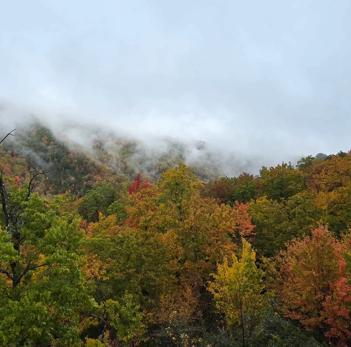 Luxe Sister Cabins, Sleeps 24, Pool, Hot Tub, Games