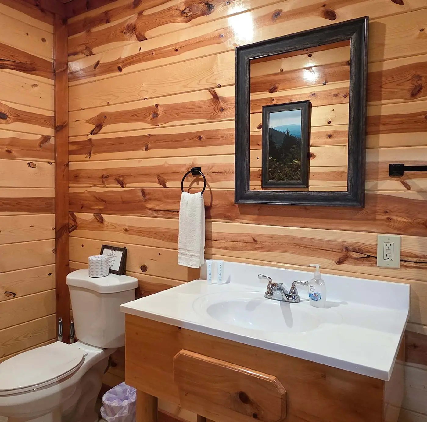 Luxe Sister Cabins, Sleeps 24, Pool, Hot Tub, Games