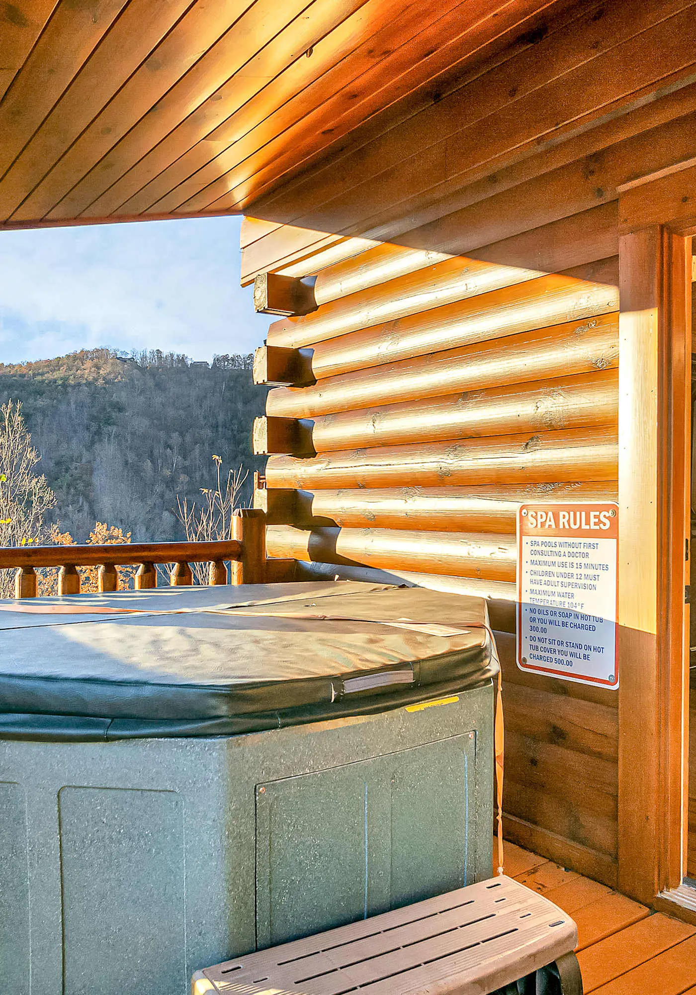 Luxe Sister Cabins, Sleeps 24, Pool, Hot Tub, Games