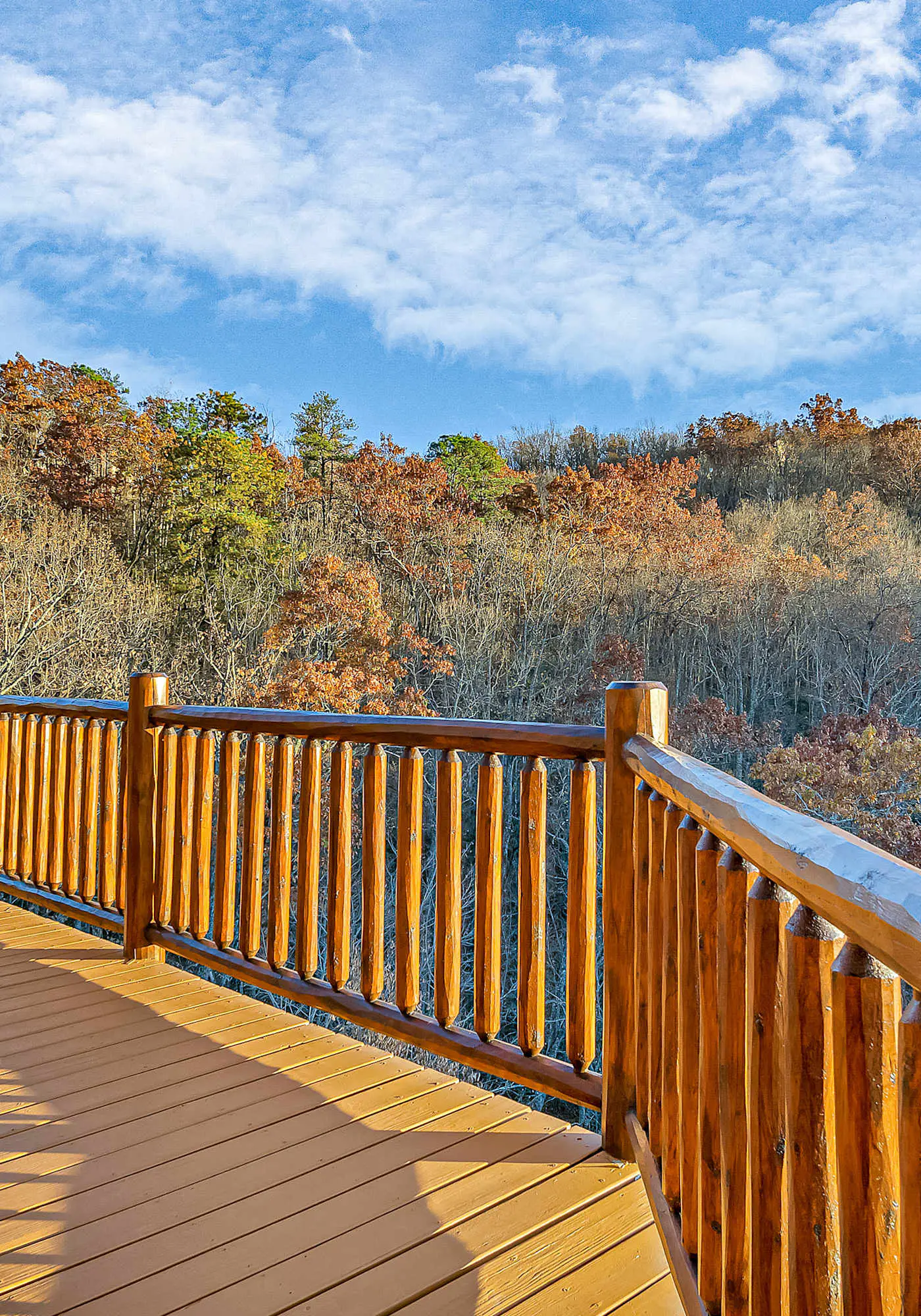 Luxe Sister Cabins, Sleeps 24, Pool, Hot Tub, Games