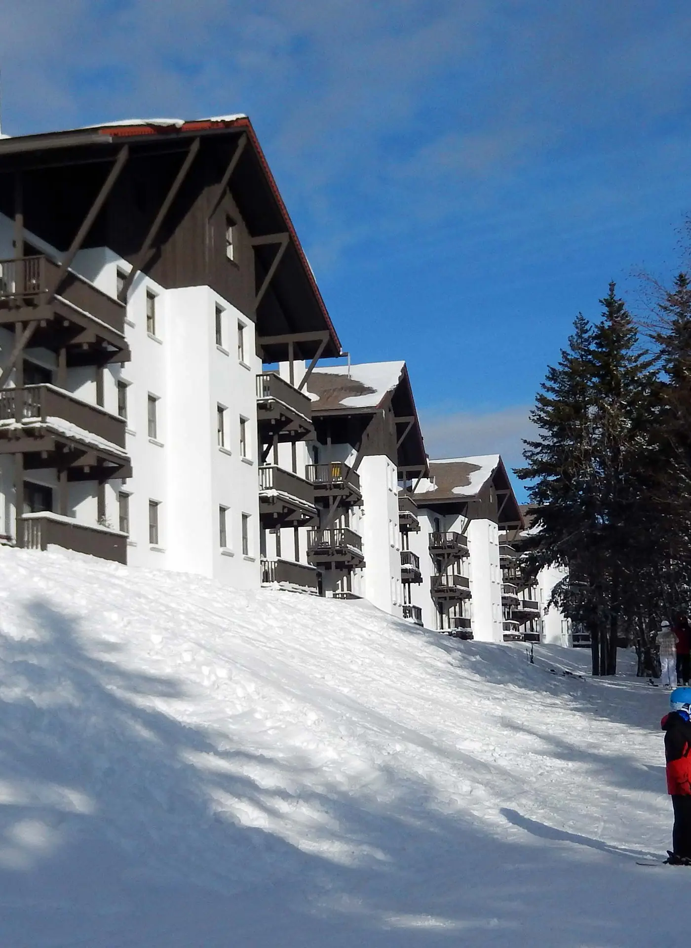 1 Br:   Whistlepunk 33