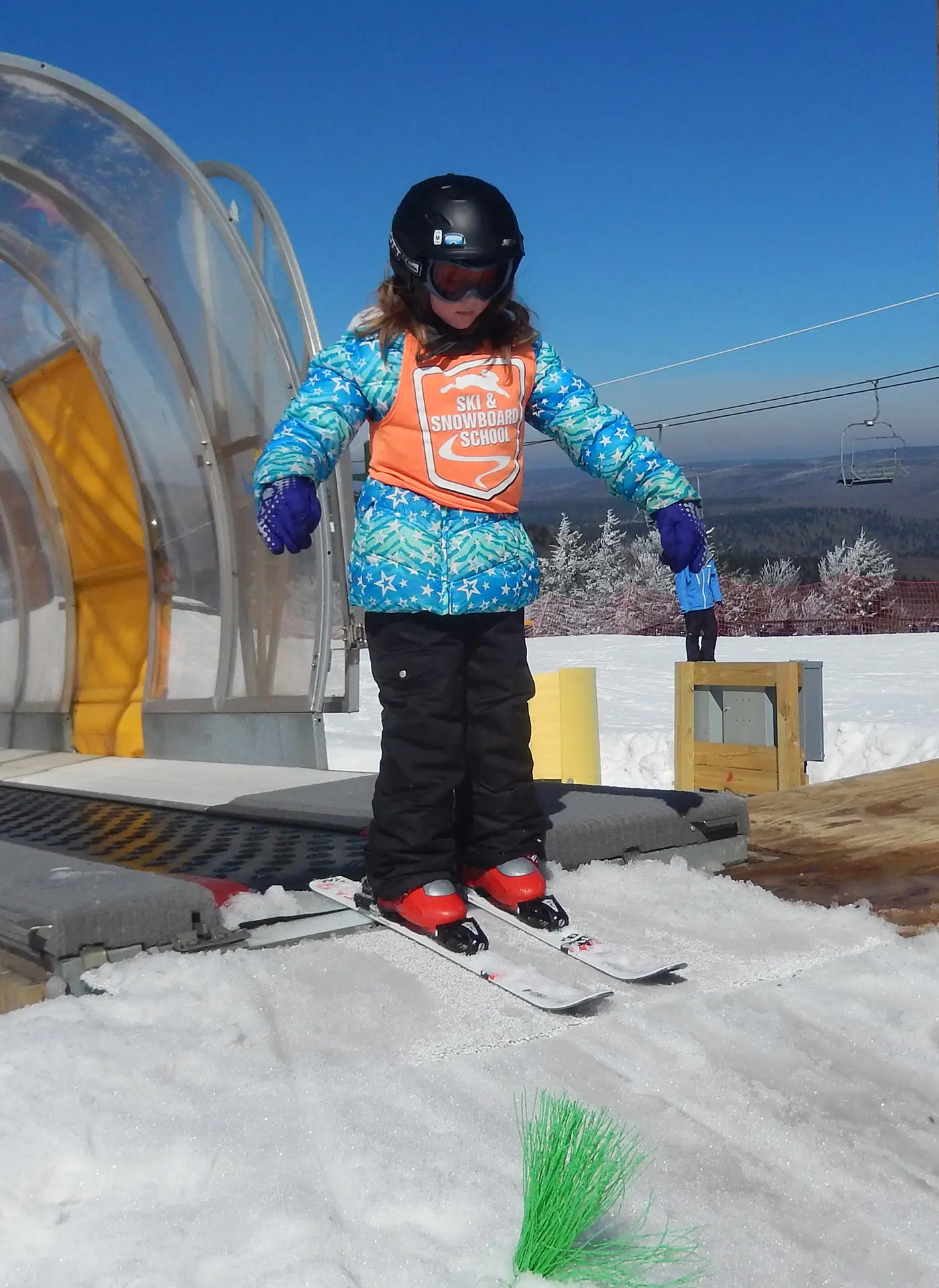 1 Br:   Whistlepunk 33