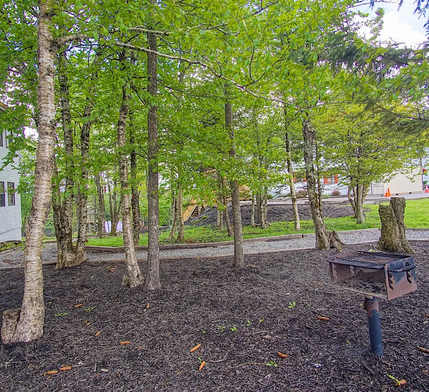 1 Br:   Whistlepunk 33