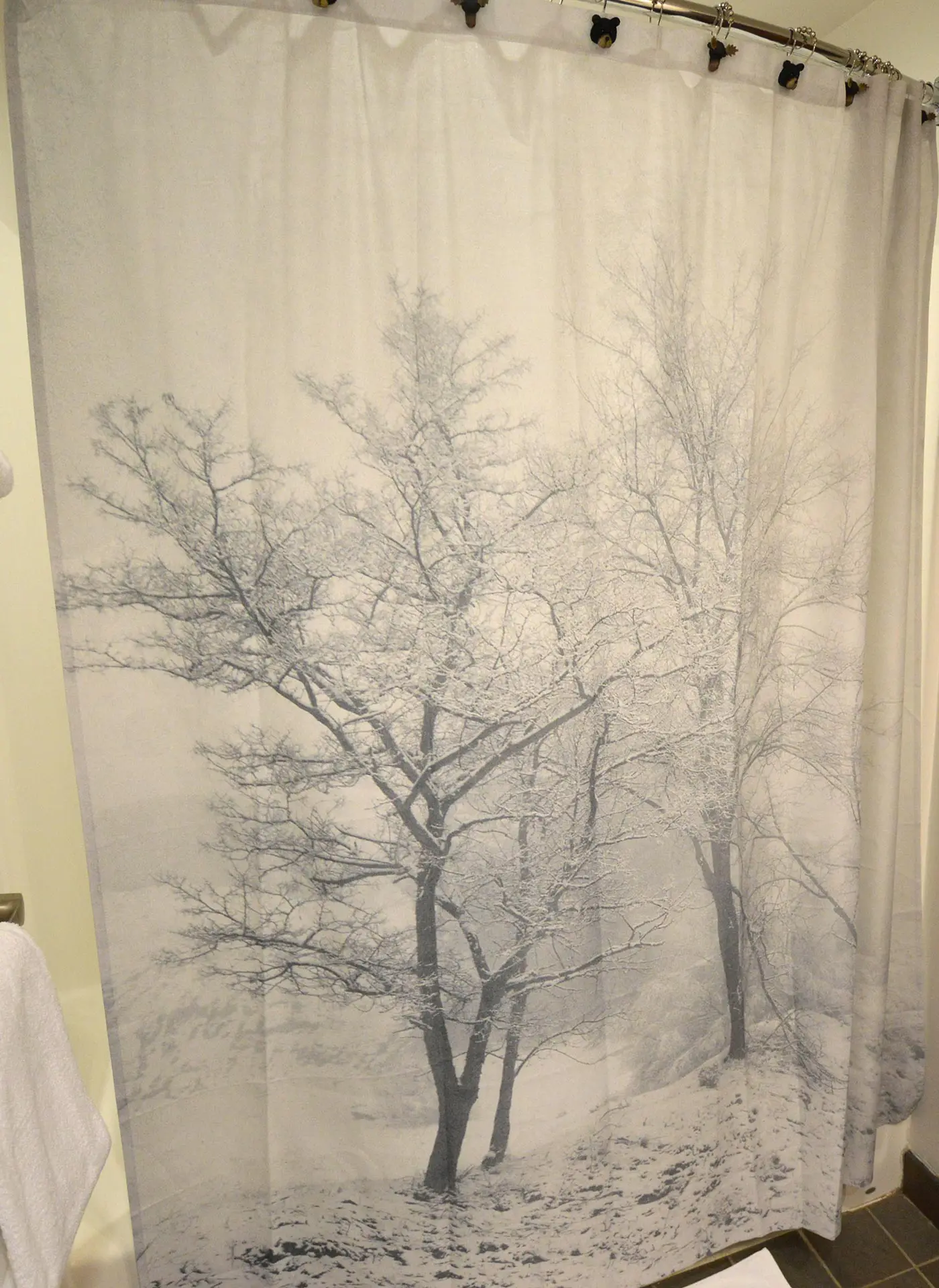 1 Br Junior Studio:  Expedition Station 120