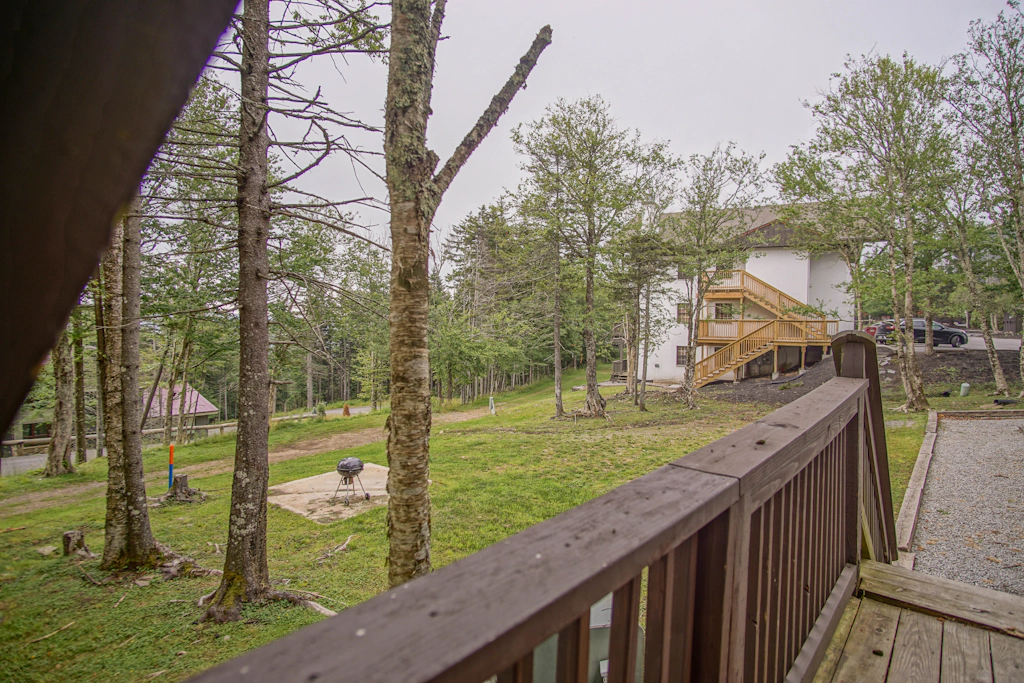 2 Br:   Whistlepunk 31