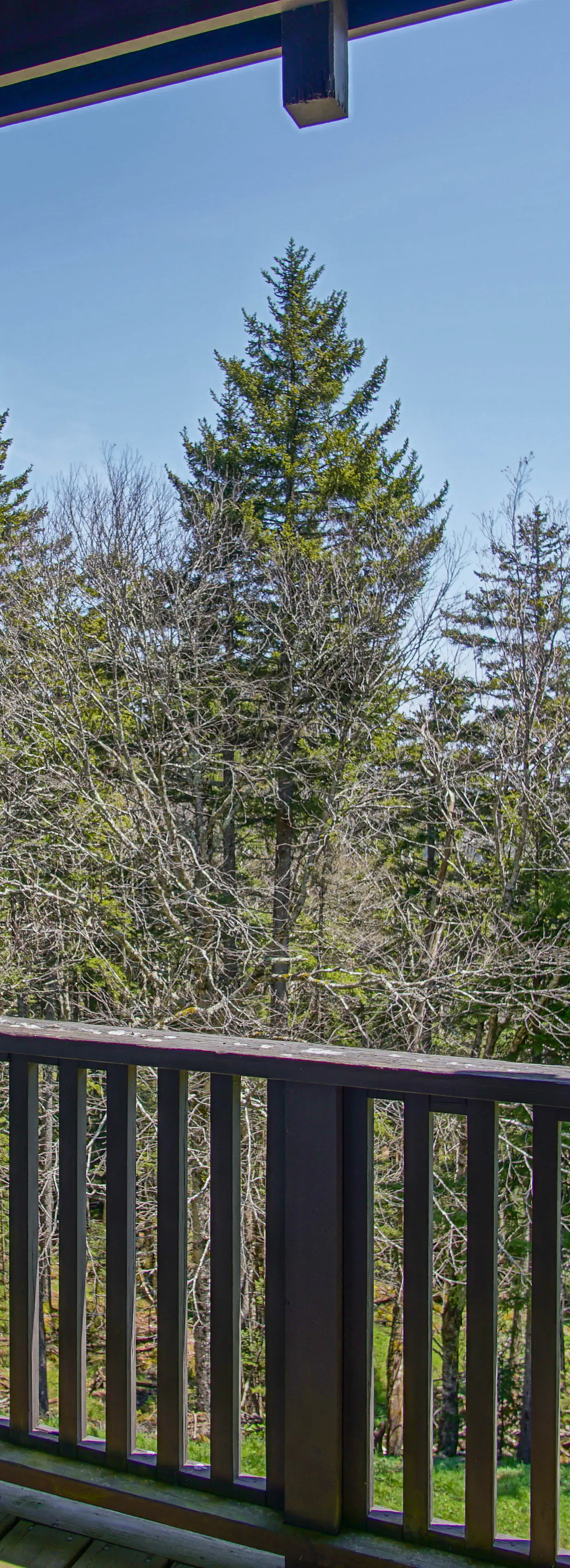 2 Br:   Whistlepunk 11