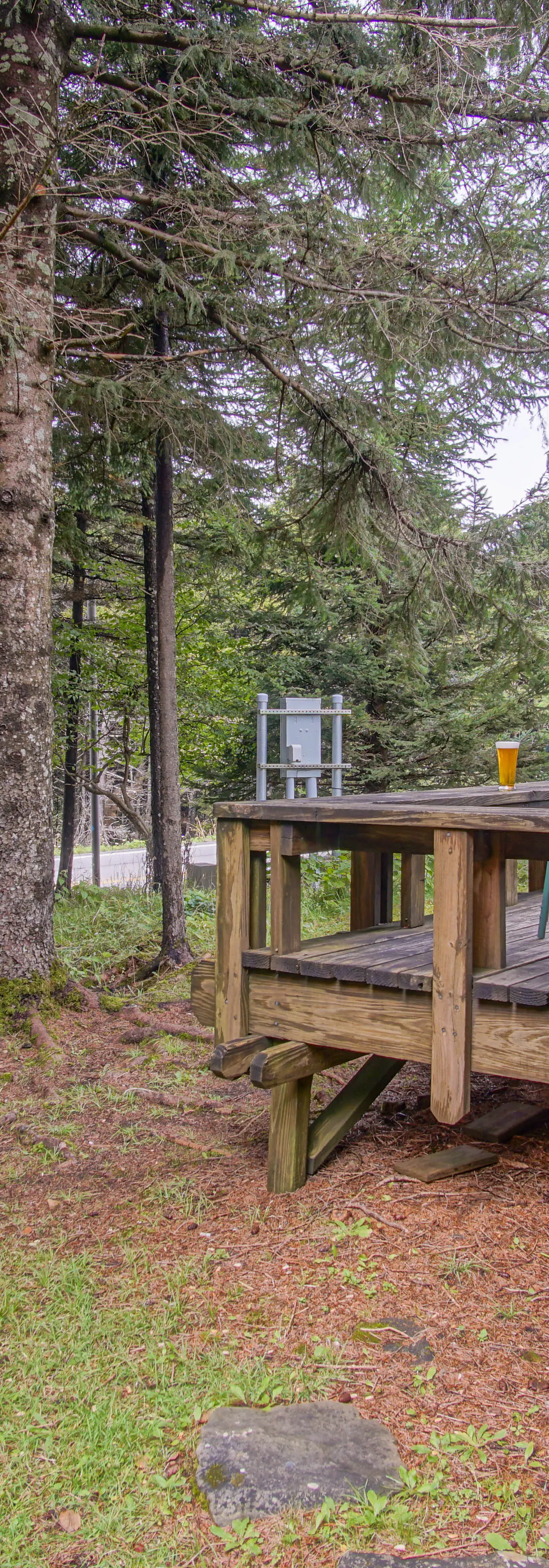 2 Br Plus Loft:  Powder Monkey 4