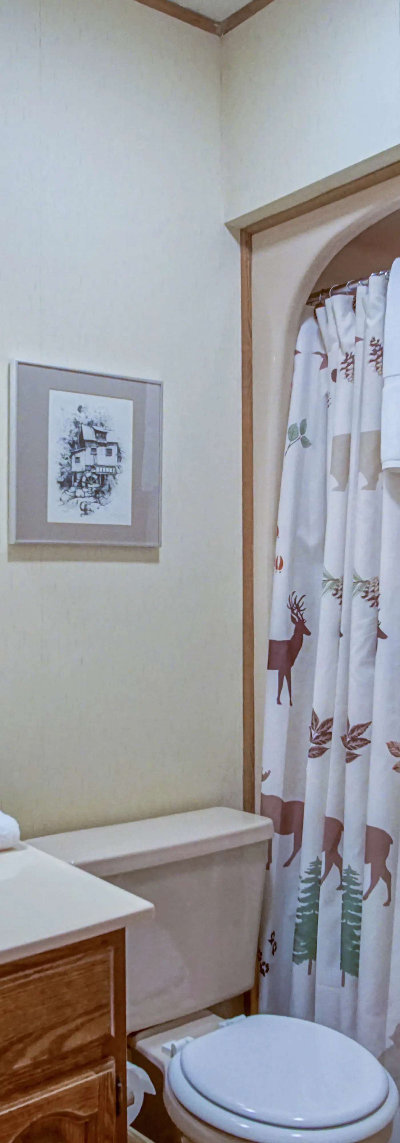 4 Br:   Whistlepunk 24