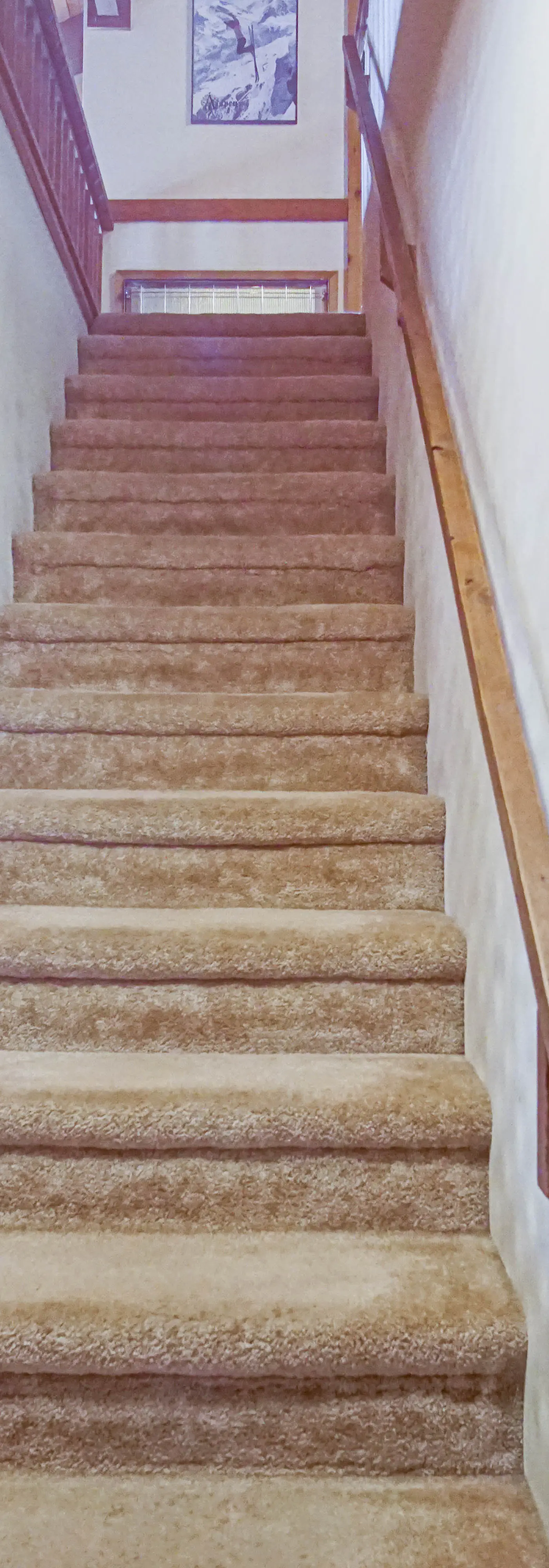 4 Br:   Whistlepunk 24