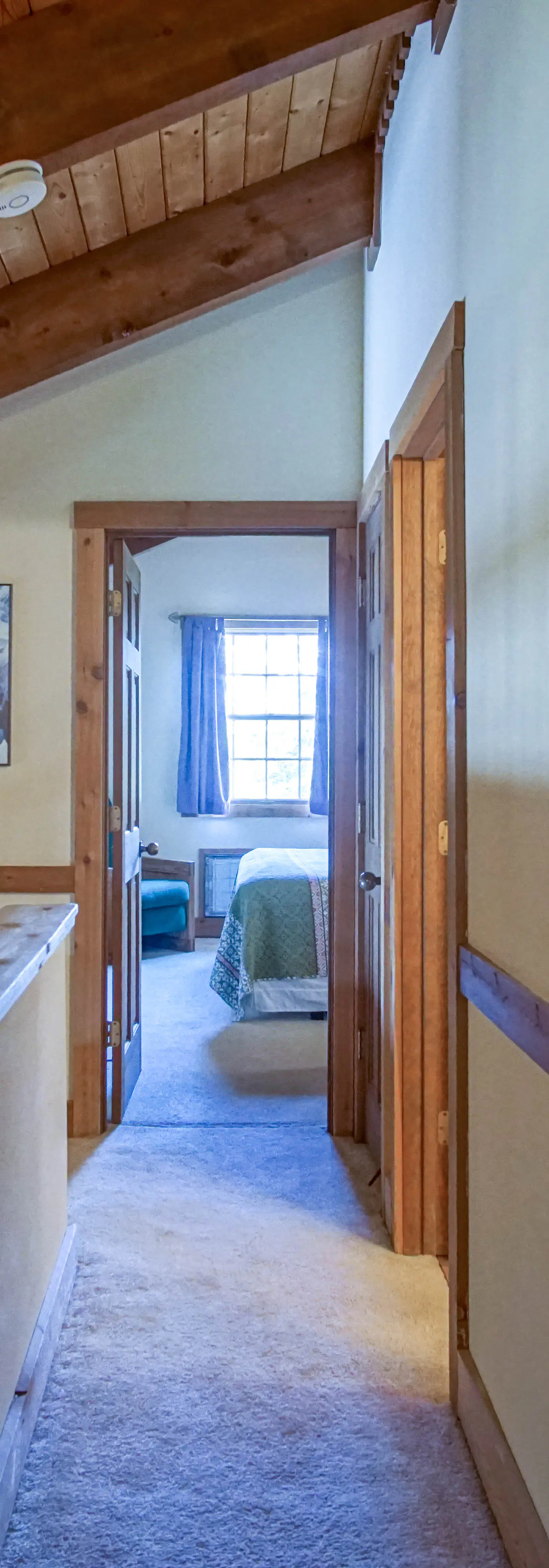 4 Br:   Whistlepunk 24