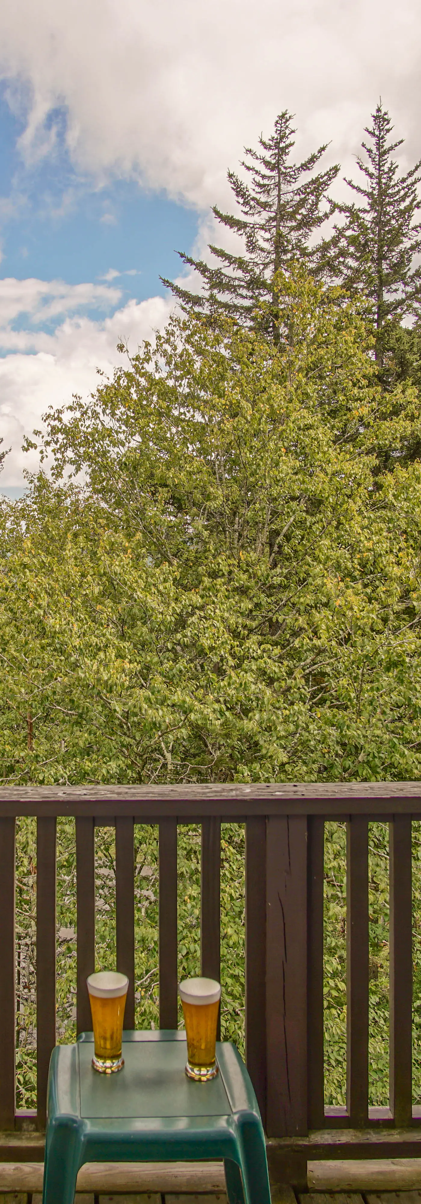 4 Br:   Whistlepunk 24