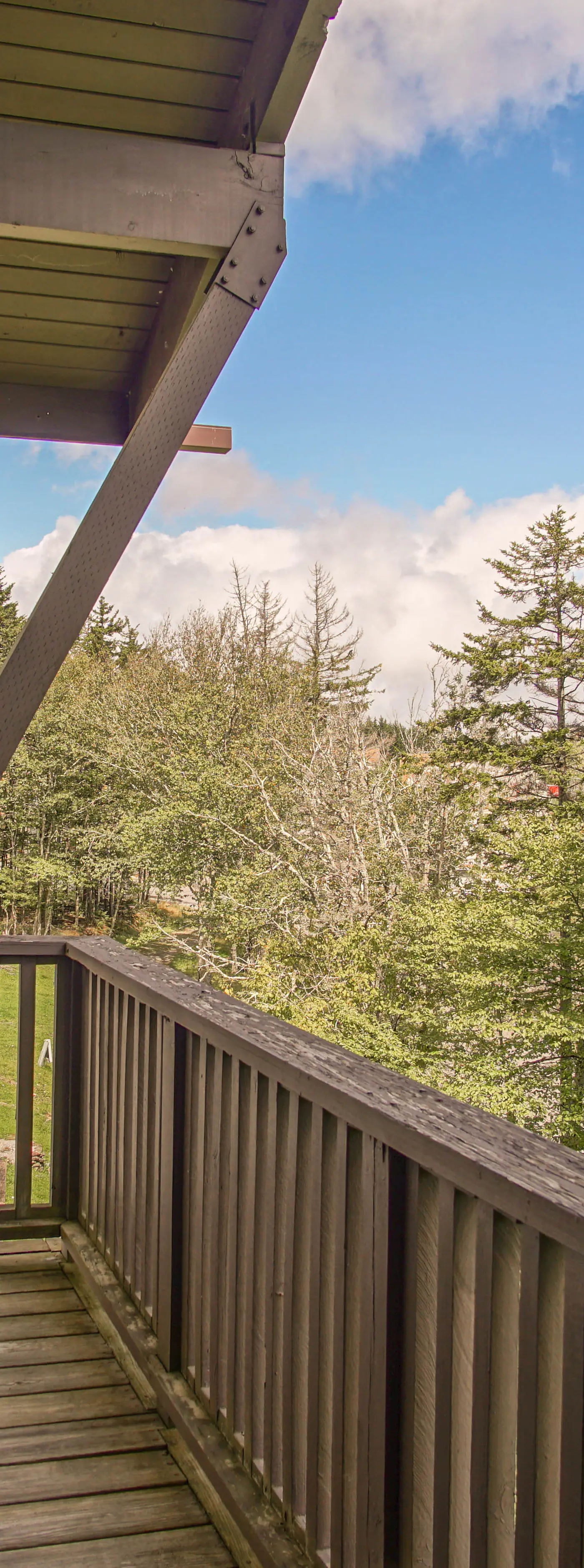 4 Br:   Whistlepunk 24