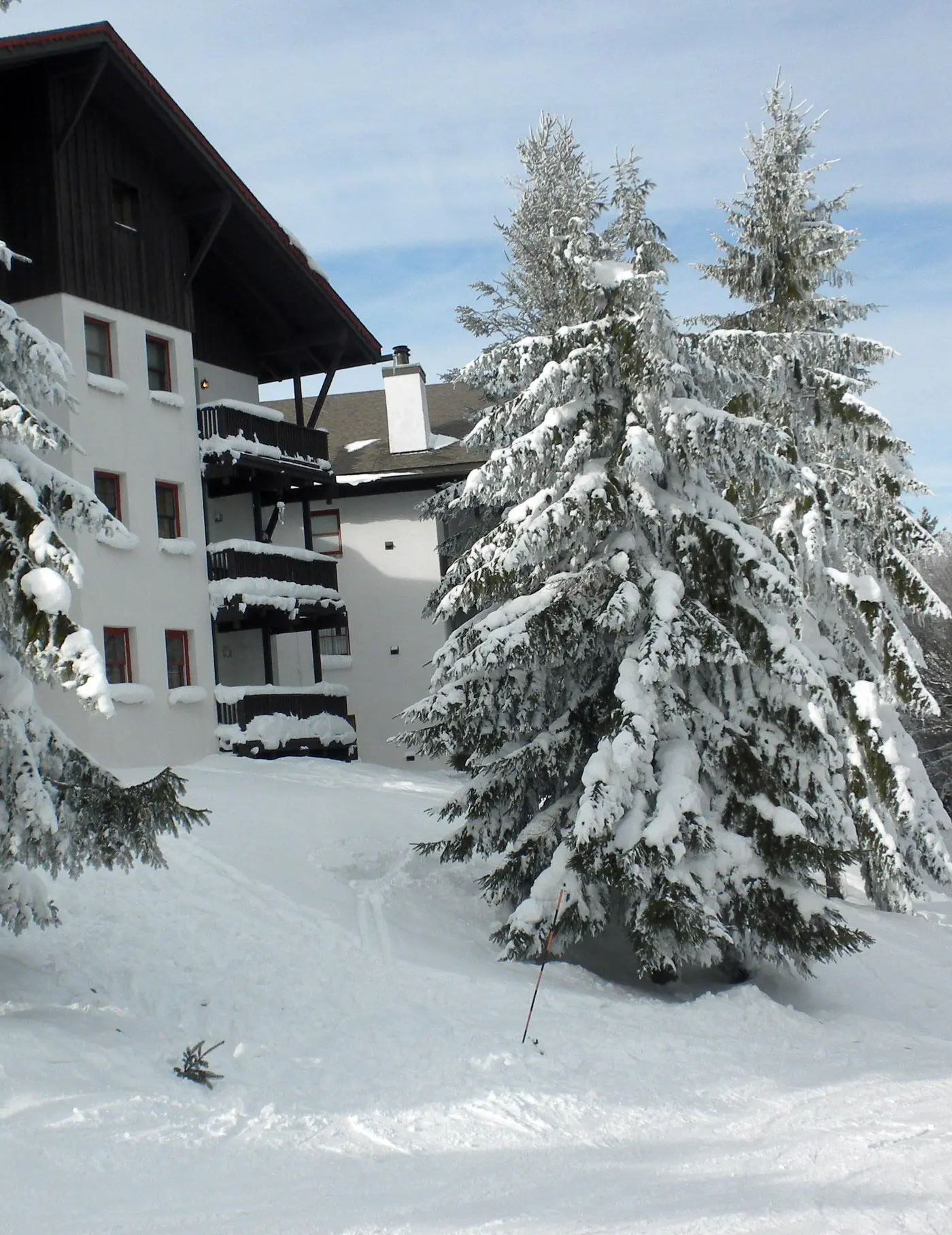 4 Br:   Whistlepunk 18