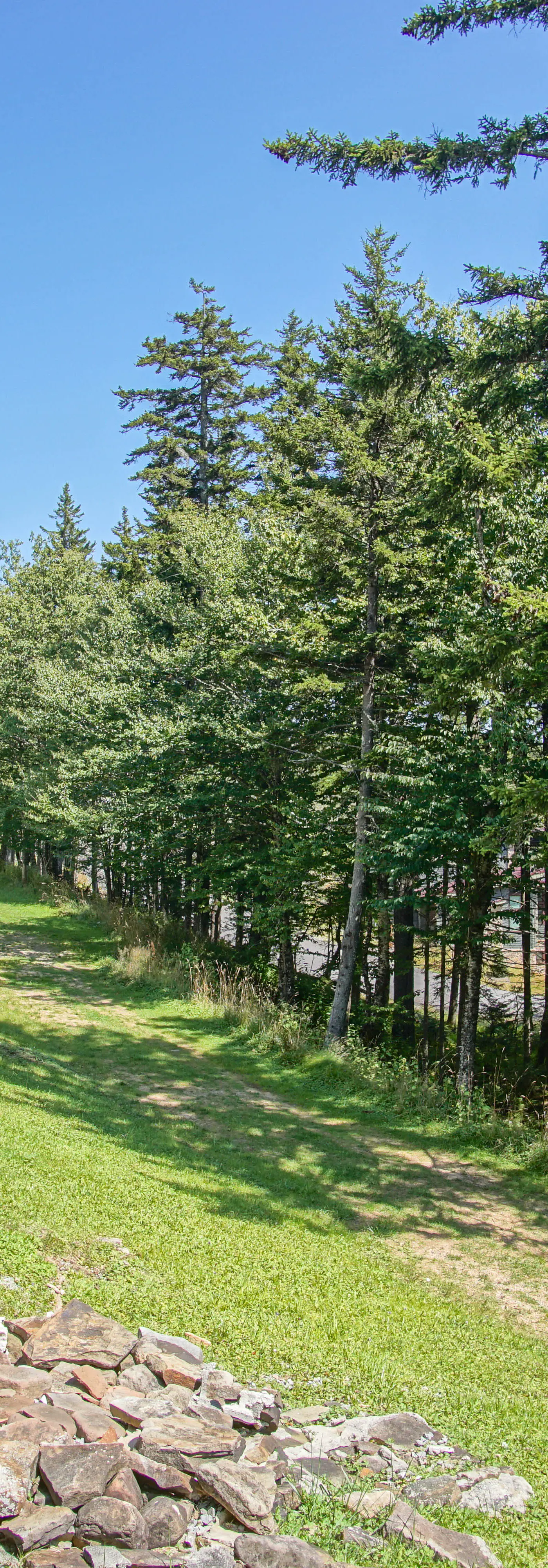 4 Br:   Whistlepunk 18