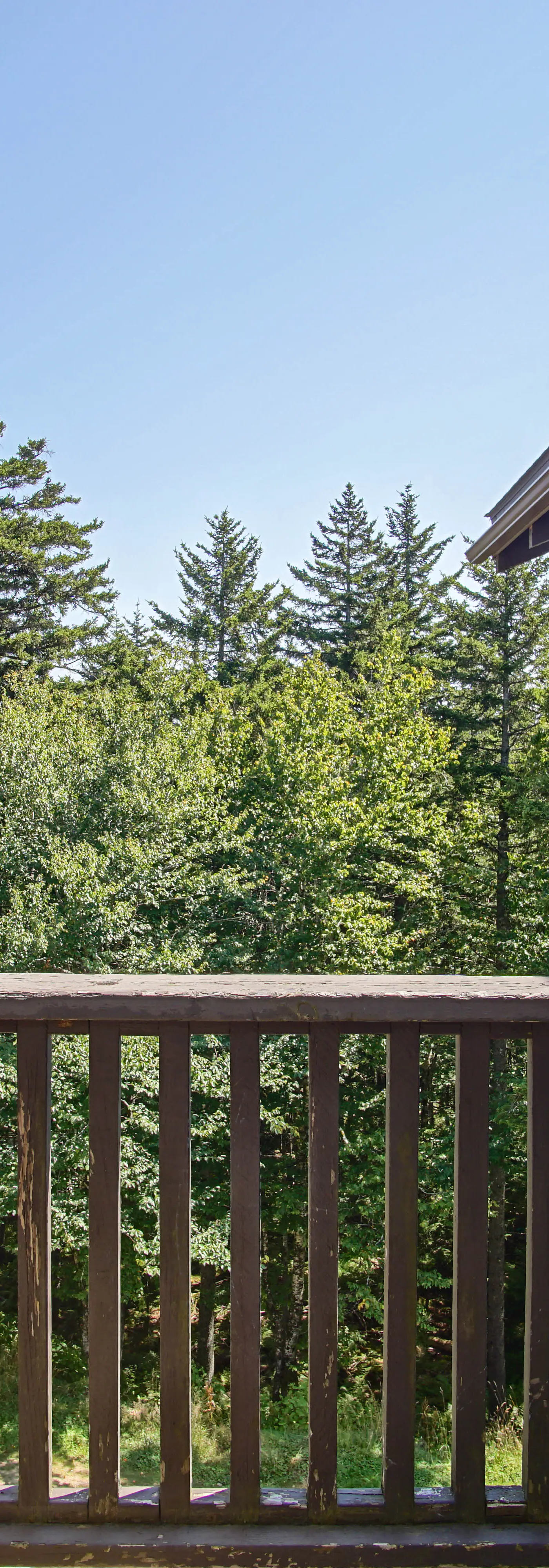 4 Br:   Whistlepunk 18