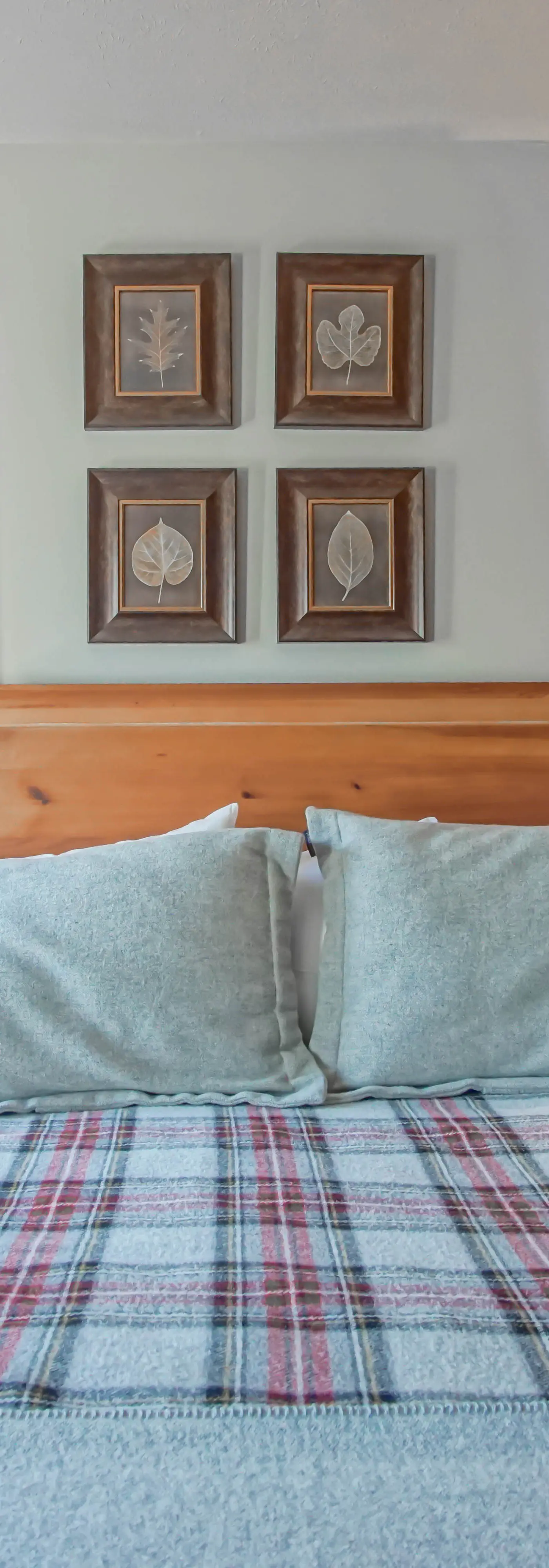 4 Br:   Whistlepunk 18