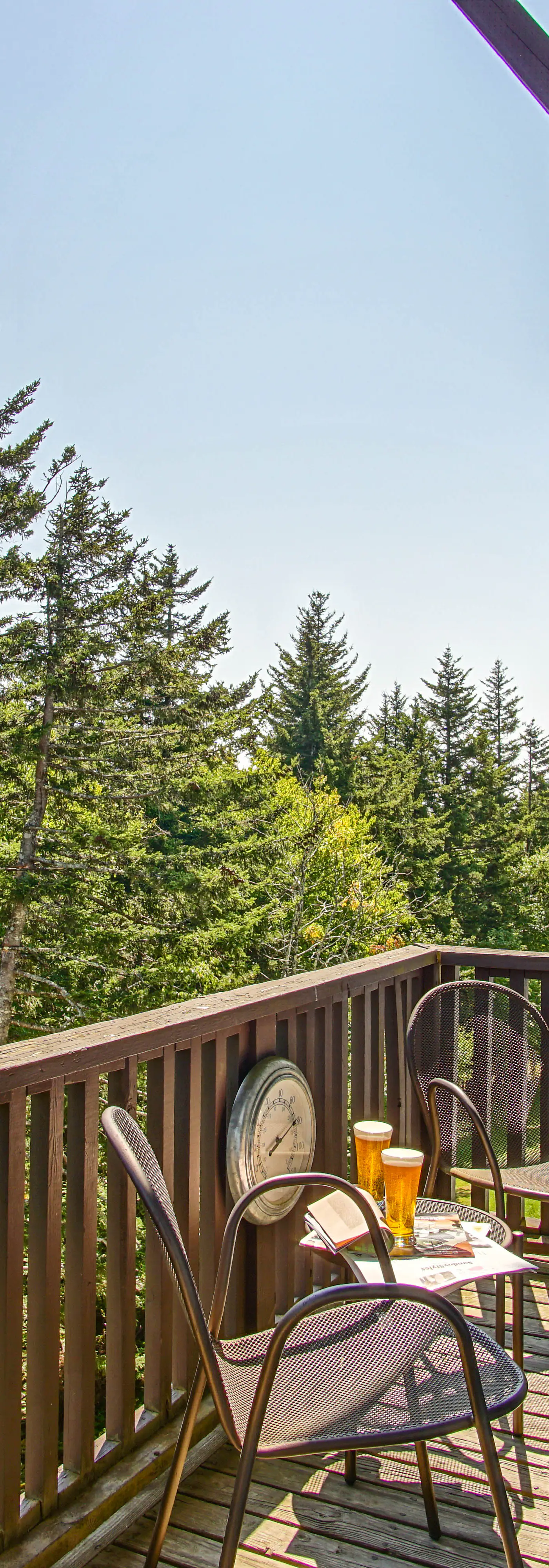 4 Br:   Whistlepunk 18