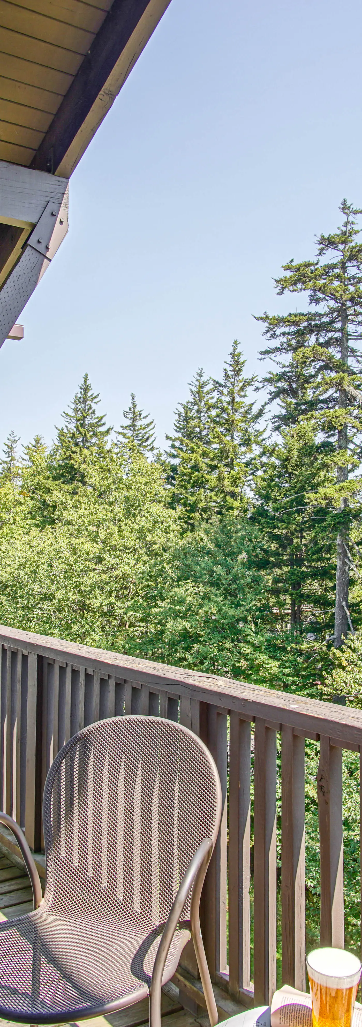 4 Br:   Whistlepunk 18