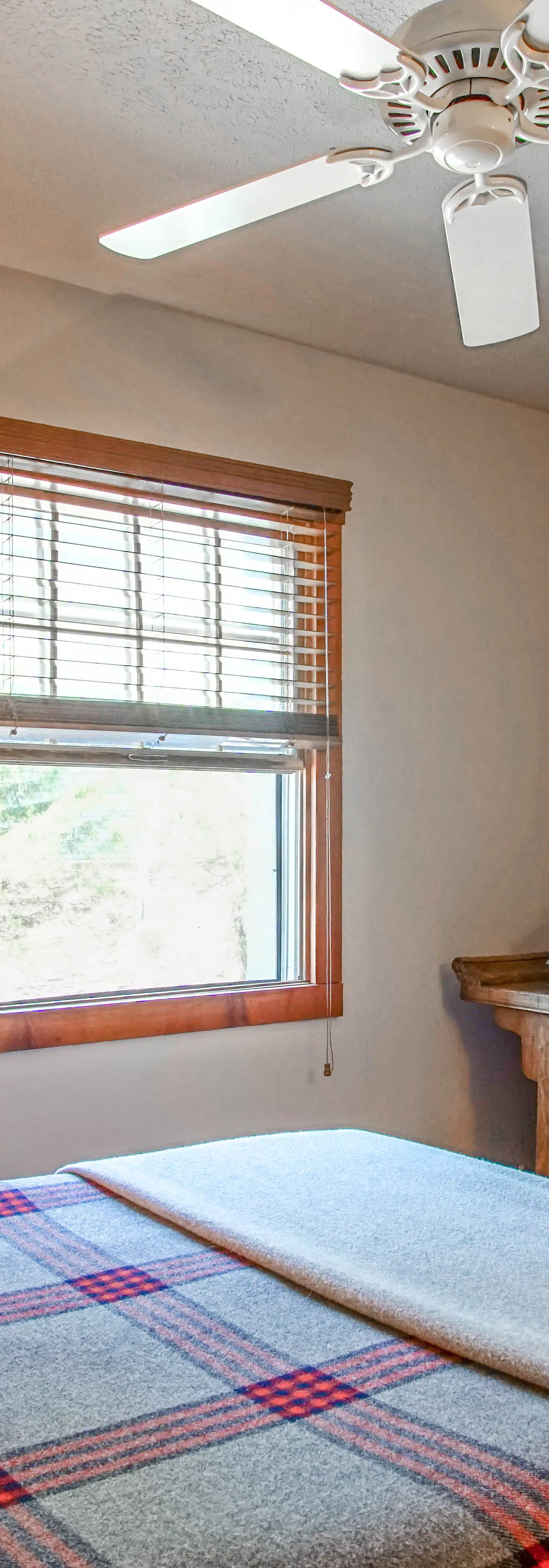 4 Br:   Whistlepunk 18