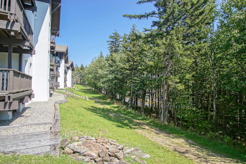 2 Br:  Whistlepunk 28