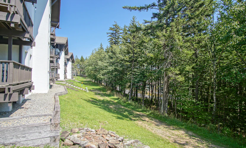 Whistlepunk # 28: 2 Bedrooms, 2 Full Baths: Slope Side. Wood Fireplace. Central Location.