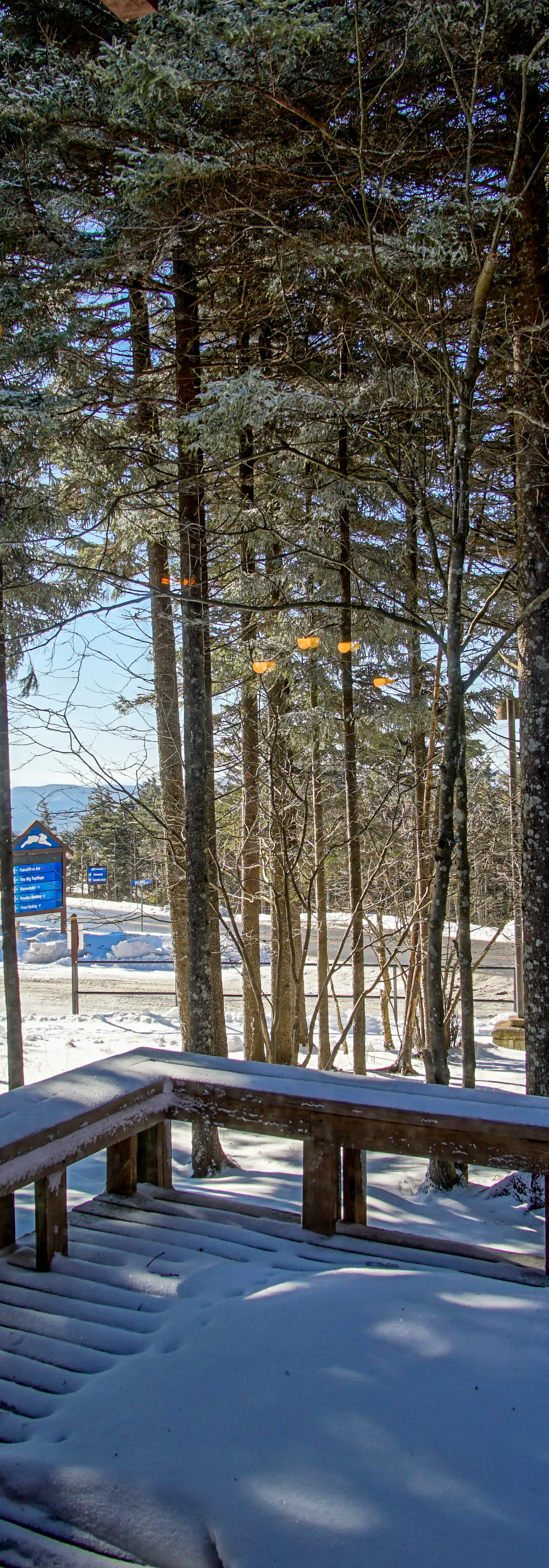 2 Br Plus Loft: Powder Monkey 2