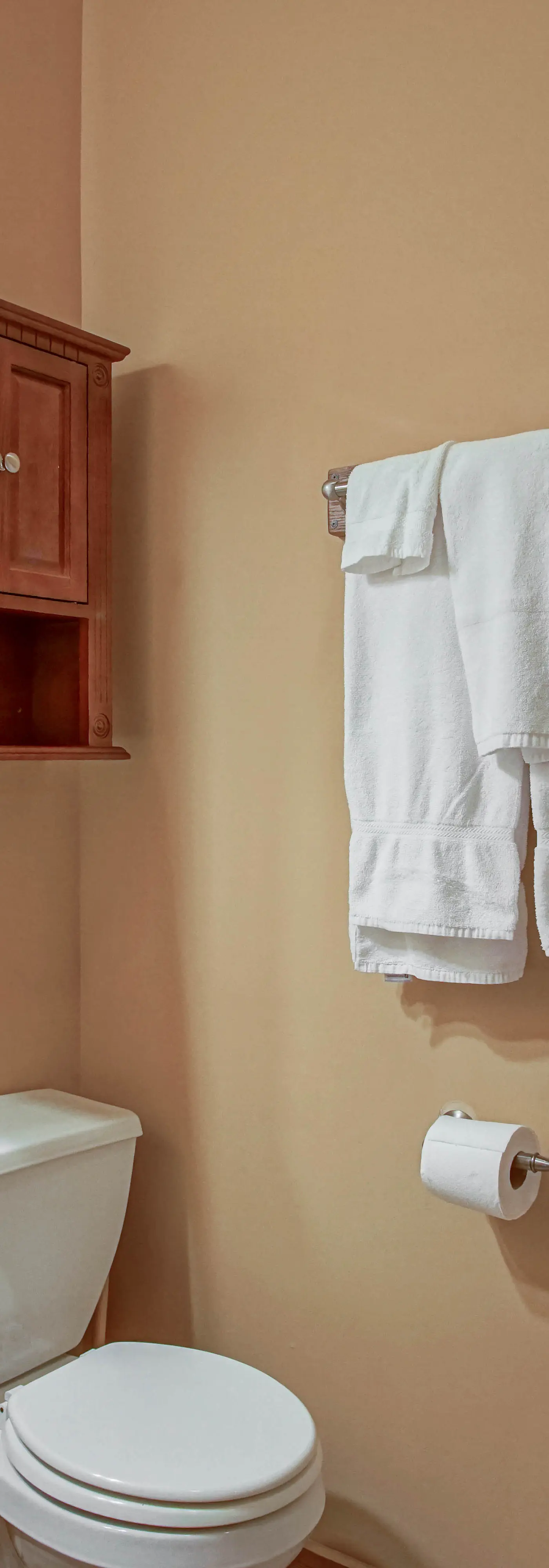 5 Br: Loggers Run 11