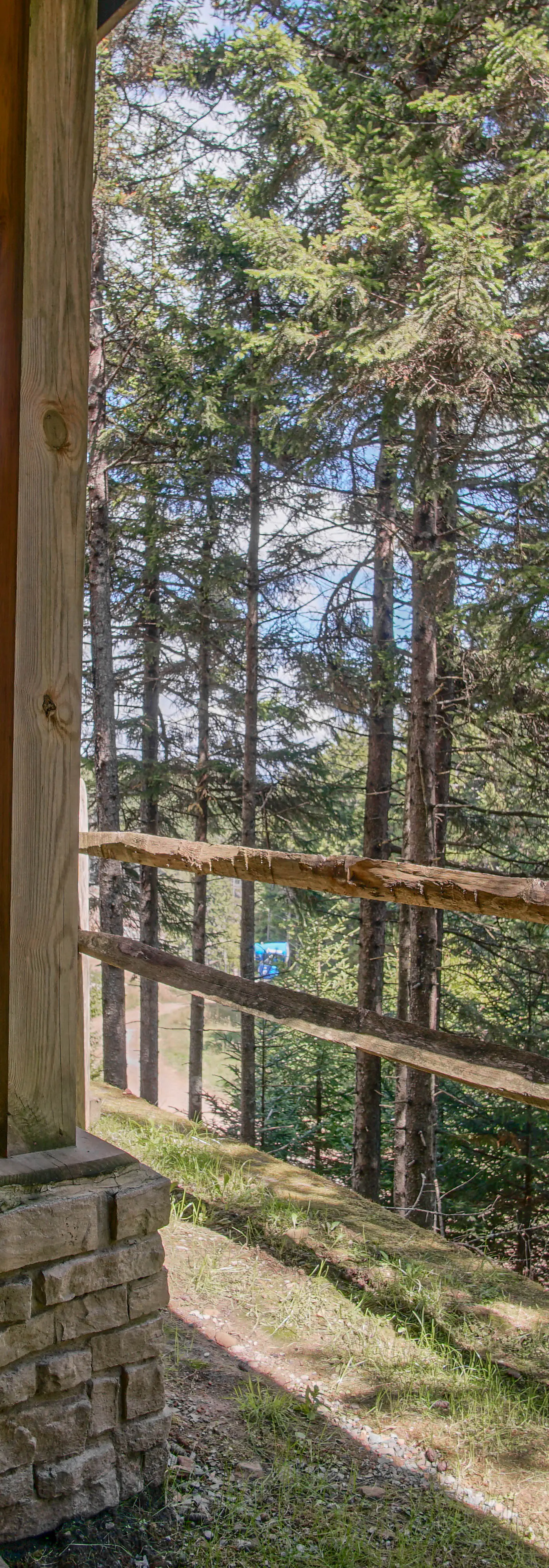 5 Br: Loggers Run 11