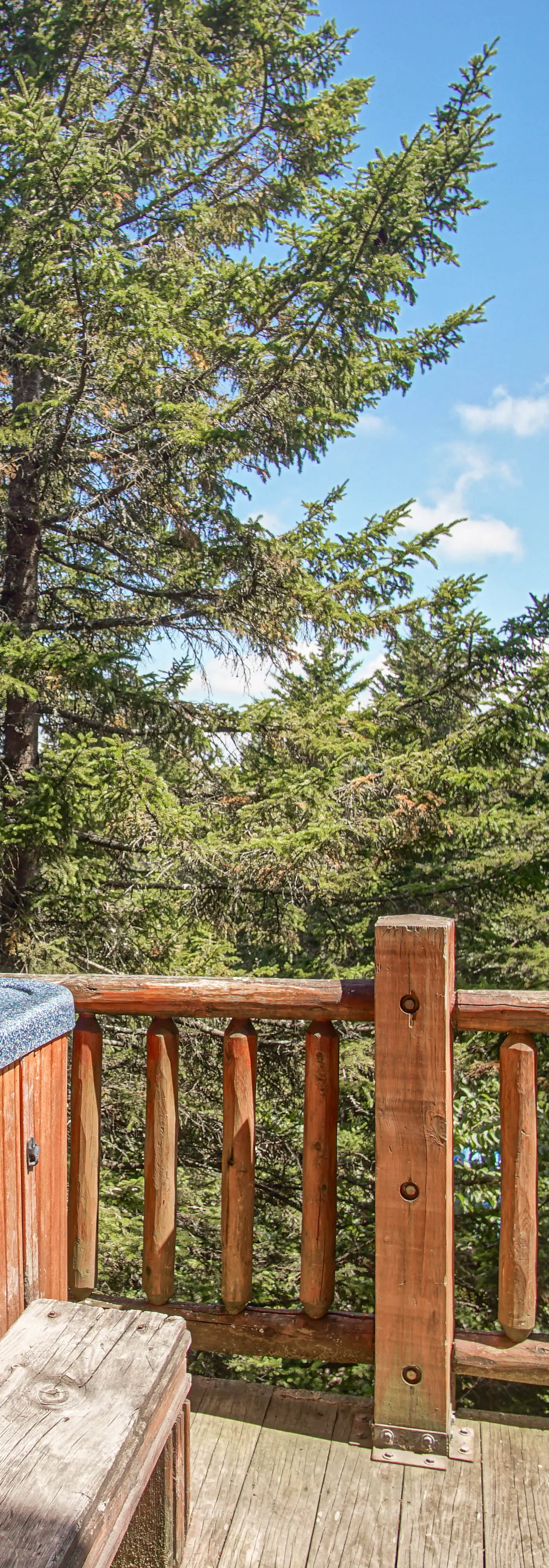 5 Br: Loggers Run 11