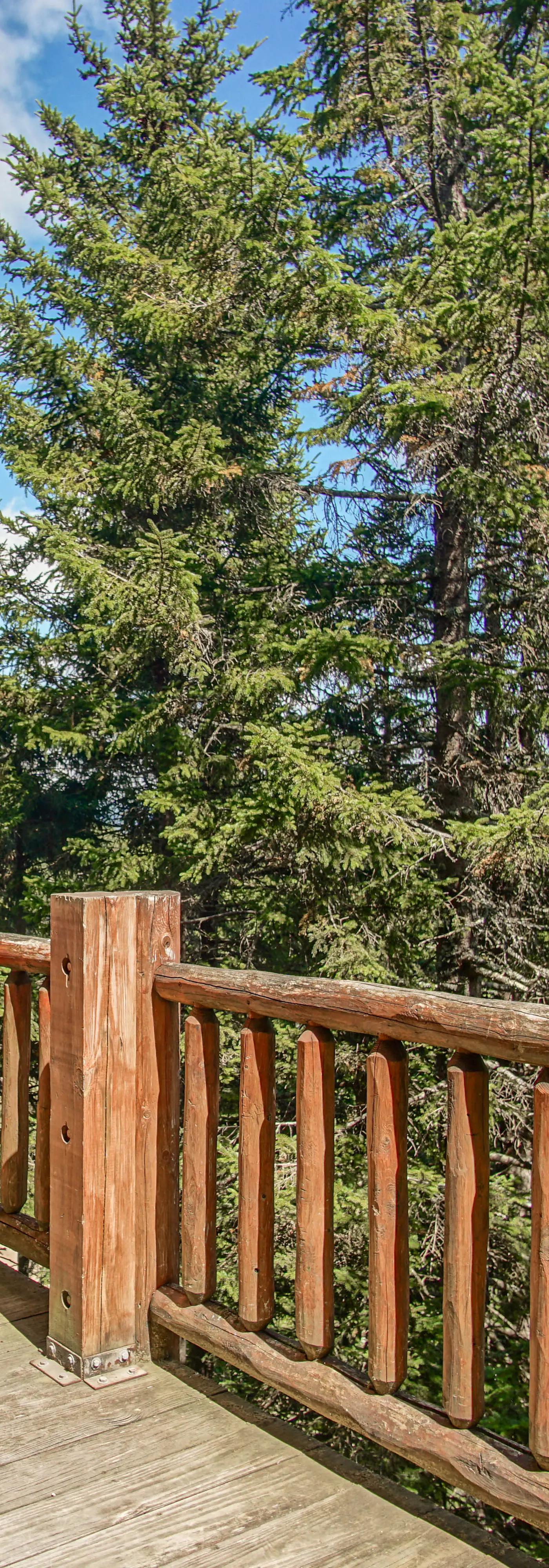 5 Br: Loggers Run 11