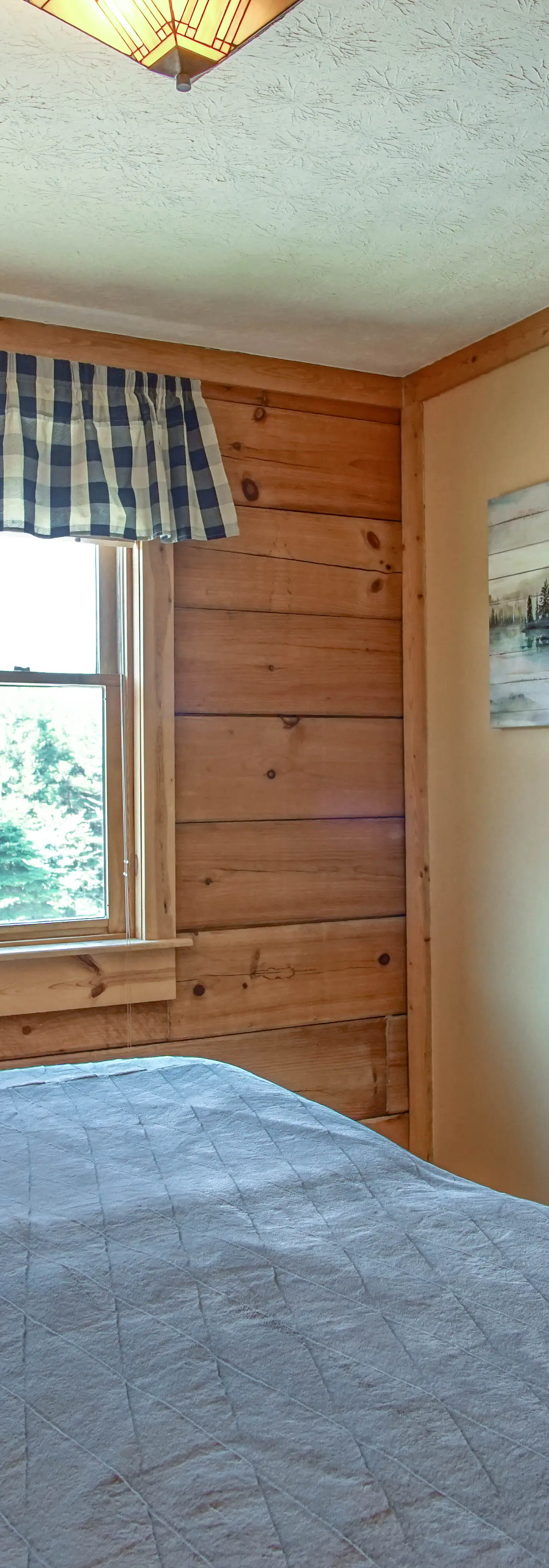 5 Br: Loggers Run 11