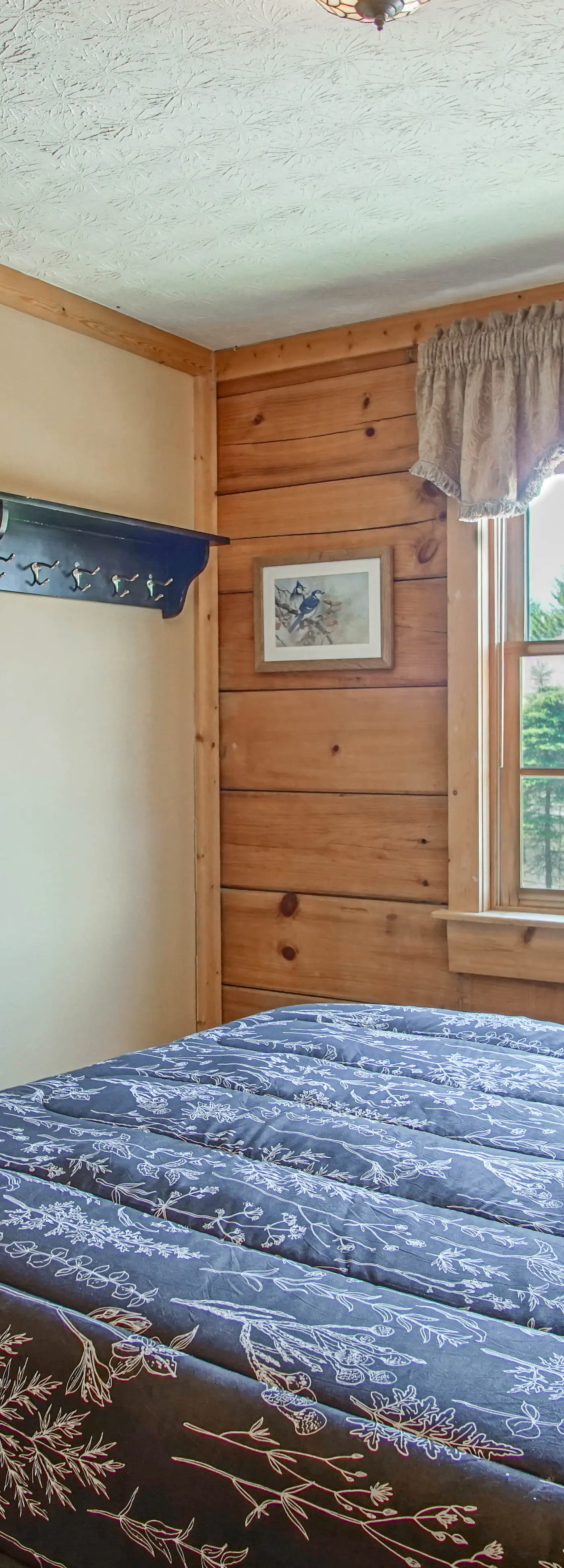 5 Br: Loggers Run 11