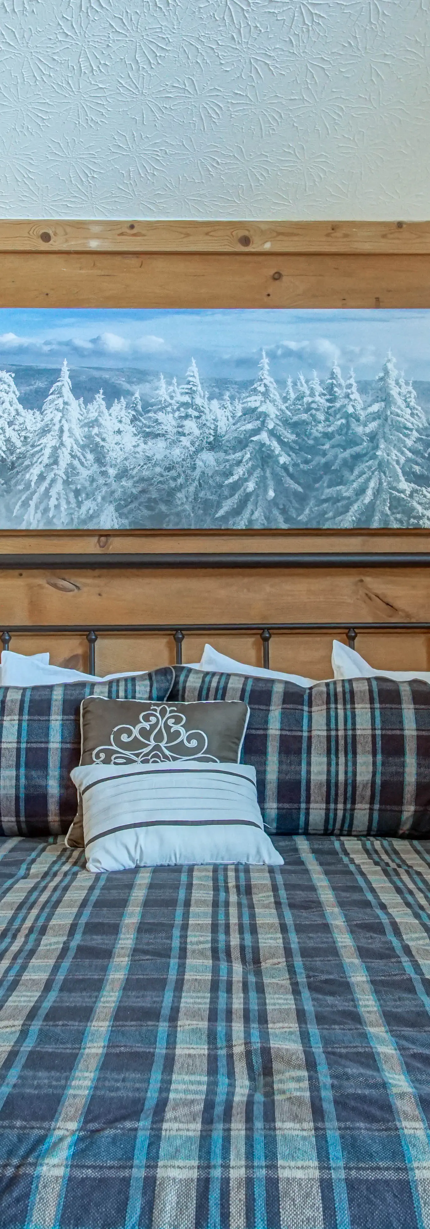 5 Br: Loggers Run 11