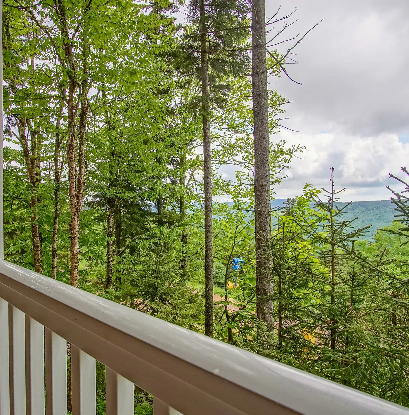 1 Br:  Stemwinder 6B