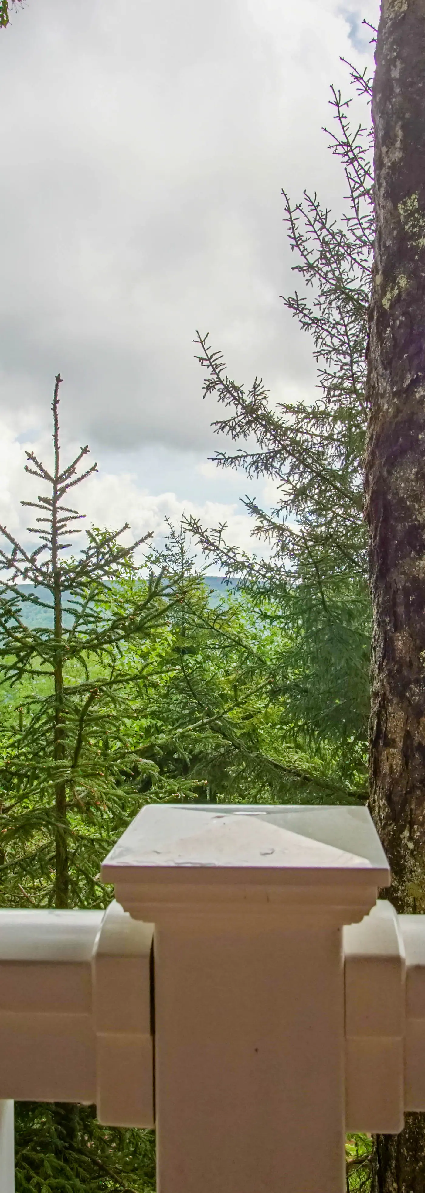 1 Br:  Stemwinder 6B