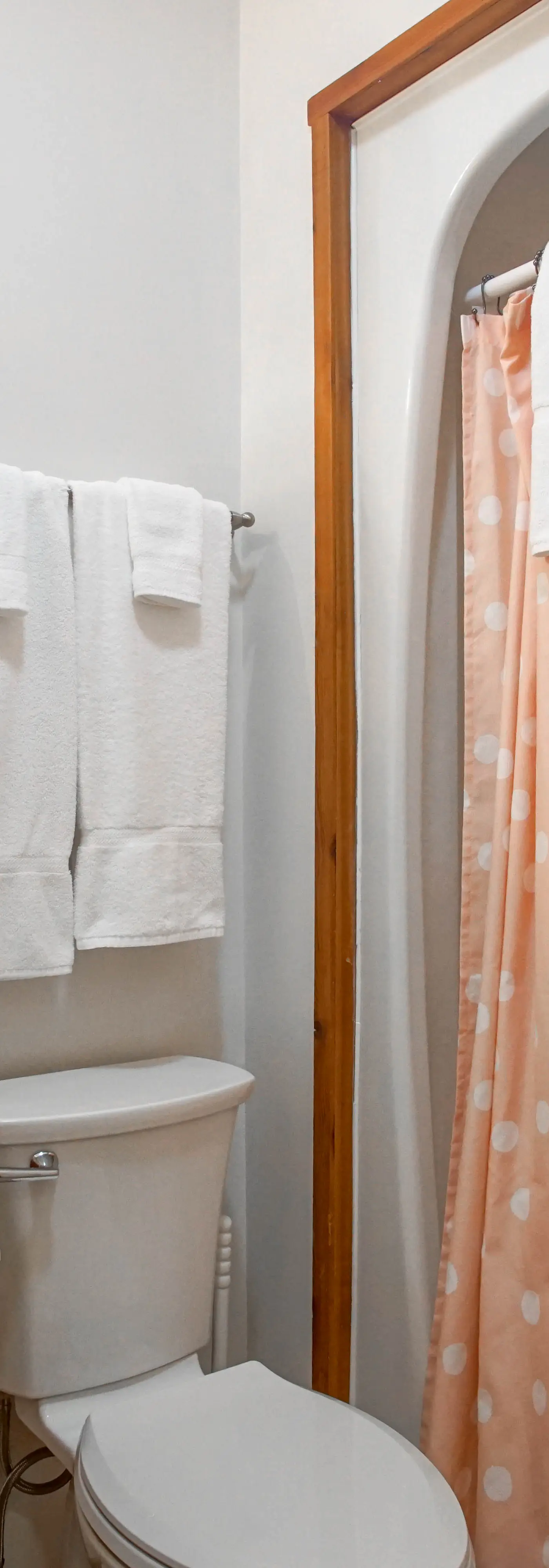 1 Br Plus Loft: Whistlepunk 36