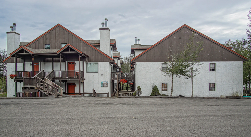 1 Br Plus Loft: Whistlepunk 36